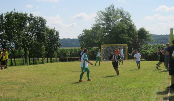 Minifutbal - ZŠ Šimonovce 2013
